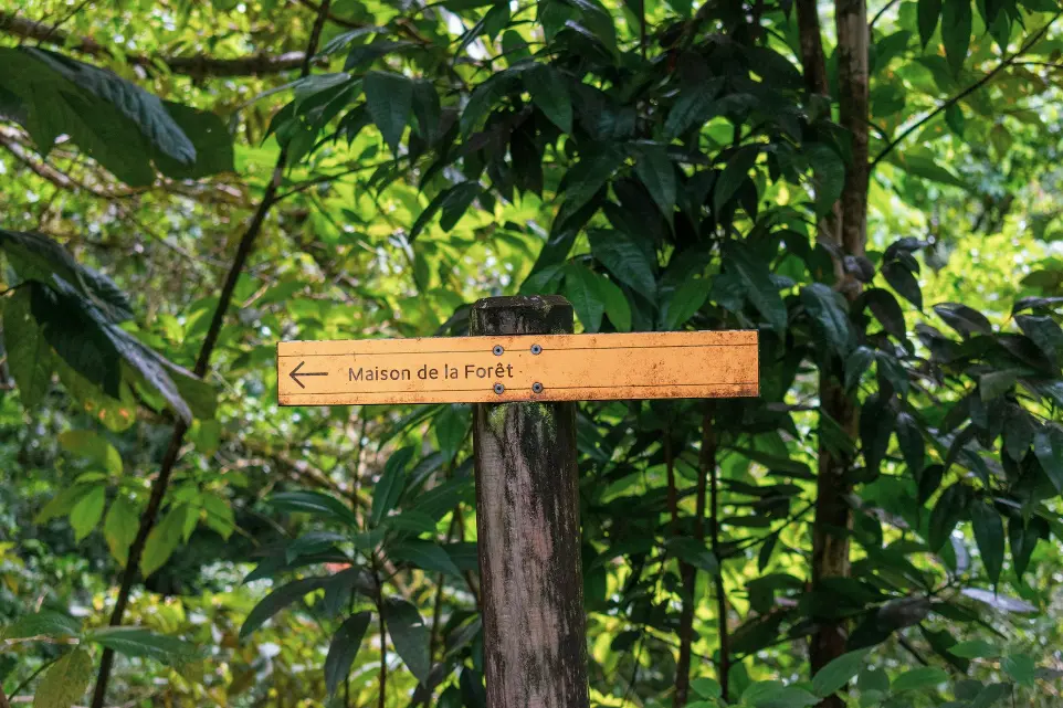 brown Malson de la Foret psot